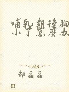 哺乳期后胸部变小了怎么办