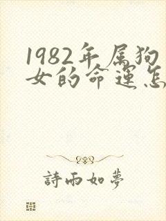 1982年属狗女的命运怎么样