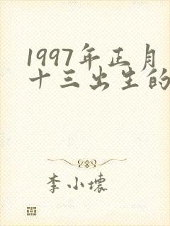 1997年正月十三出生的命运