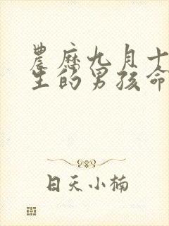 农历九月十五出生的男孩命运如何