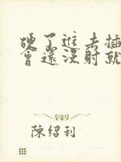 硬了进去插了一会还没射就软了封面