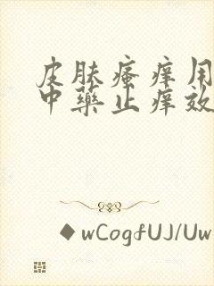 皮肤瘙痒用什么中药止痒效果最好