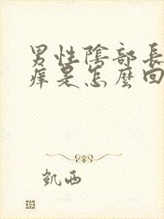 男性阴部长疙瘩痒是怎么回事封面