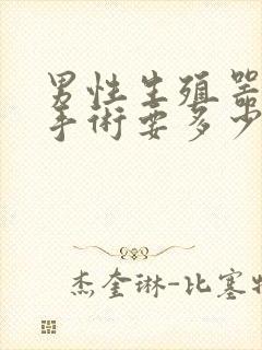 男性生殖器延长手术要多少钱