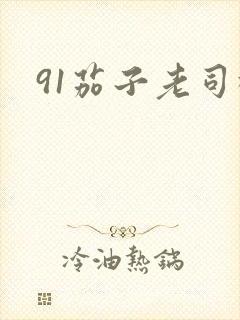 91茄子老司机
