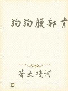 狗狗腹部有硬块