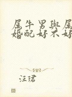 属牛男与属虎女婚配好不好