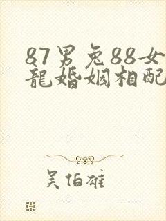 87男兔88女龙婚姻相配吗