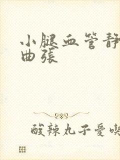 小腿血管静脉腿曲张