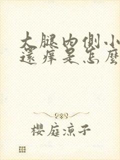 大腿内侧小疙瘩还痒是怎么回事