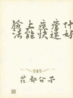 脸上痤疮什么办法能快速好啊