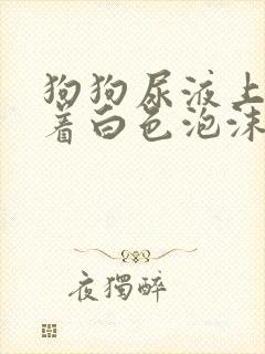 狗狗尿液上漂浮着白色泡沫