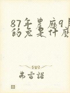 87年农历9月的兔是什么命