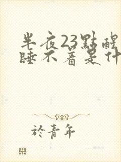 半夜23点醒来睡不着是什么原因