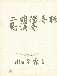 二胡独奏听松宋飞演奏封面
