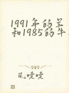 1991年的羊和1985的牛结婚好不好