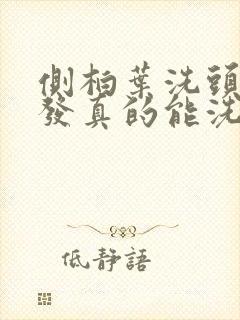 侧柏叶洗头白头发真的能洗黑吗