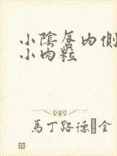 小阴唇内侧长有小肉粒