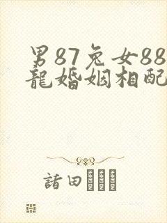 男87兔女88龙婚姻相配吗