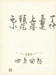 龟头上长了好多小疙瘩是什么病症