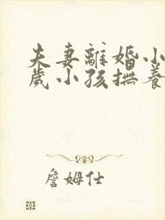 夫妻离婚小孩2岁小孩抚养权归谁