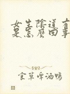 女生阴道有臭味是怎么回事