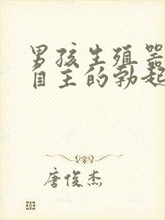 男孩生殖器不由自主的勃起是怎么回事