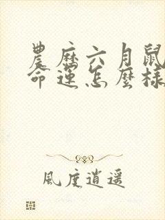 农历六月鼠女的命运怎么样