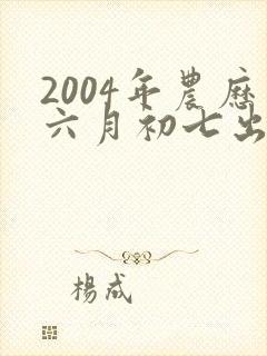 2004年农历六月初七出生的命运封面