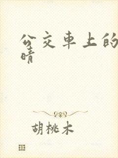 公交车上的诗请晴