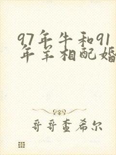 97年牛和91年羊相配婚姻如何