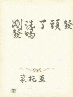 刚洗了头发能染发吗封面