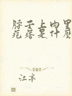 脖子上肉里面有疙瘩是什么原因封面