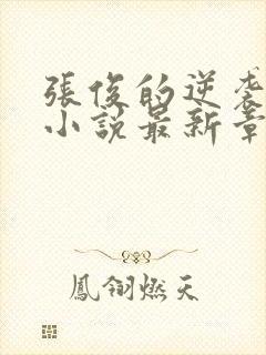 张俊的逆袭之路小说最新章节封面