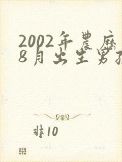 2002年农历8月出生男孩命运
