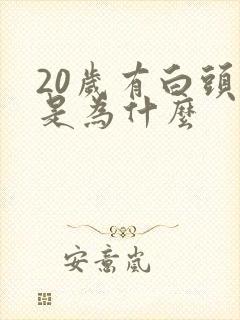 20岁有白头发是为什么