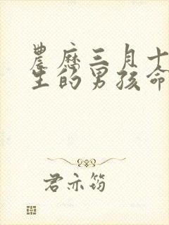 农历三月十一出生的男孩命运好不好