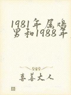 1981年属鸡男和1988年属龙女婚配