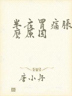 半夜胃痛胀气什么原因