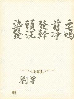 染头发前要把头发洗干净吗