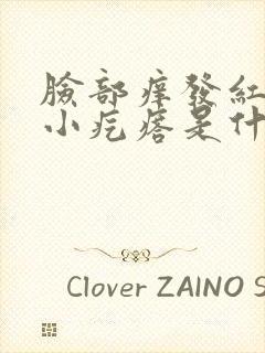 脸部痒发红还起小疙瘩是什么原因