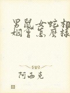 男鼠女蛇相配婚姻会怎么样