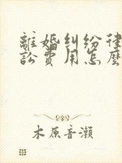 离婚纠纷律师诉讼费用怎么收