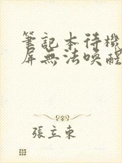 笔记本待机后黑屏无法唤醒屏幕