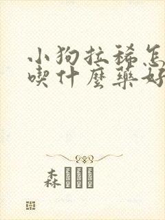 小狗拉稀怎么办吃什么药好封面