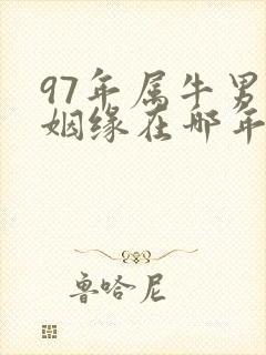 97年属牛男的姻缘在哪年