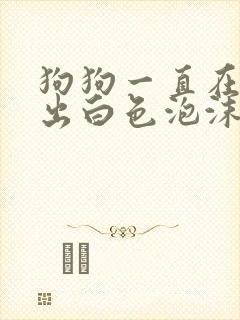 狗狗一直在呕吐出白色泡沫