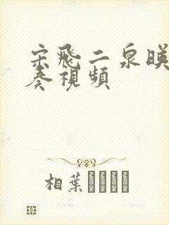 宋飞二泉映月独奏视频