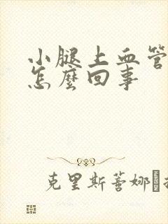 小腿上血管突起怎么回事封面