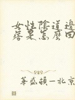 女性阴道边有疙瘩是怎么回事